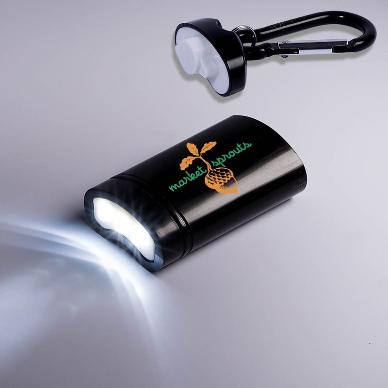 Quick-Release Magnetic Light