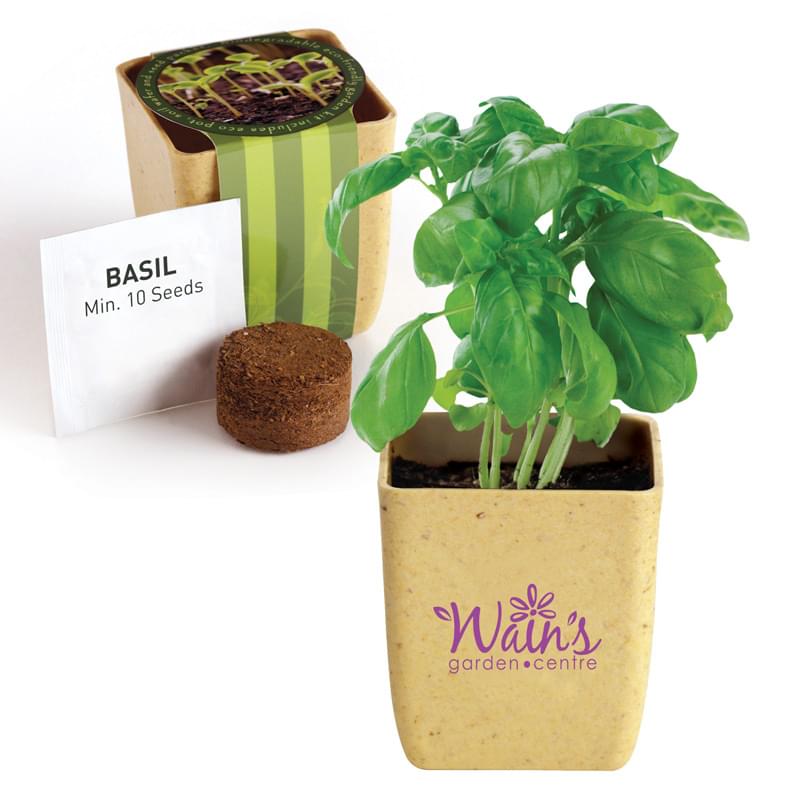 Flower Pot Set with Basil Seeds
