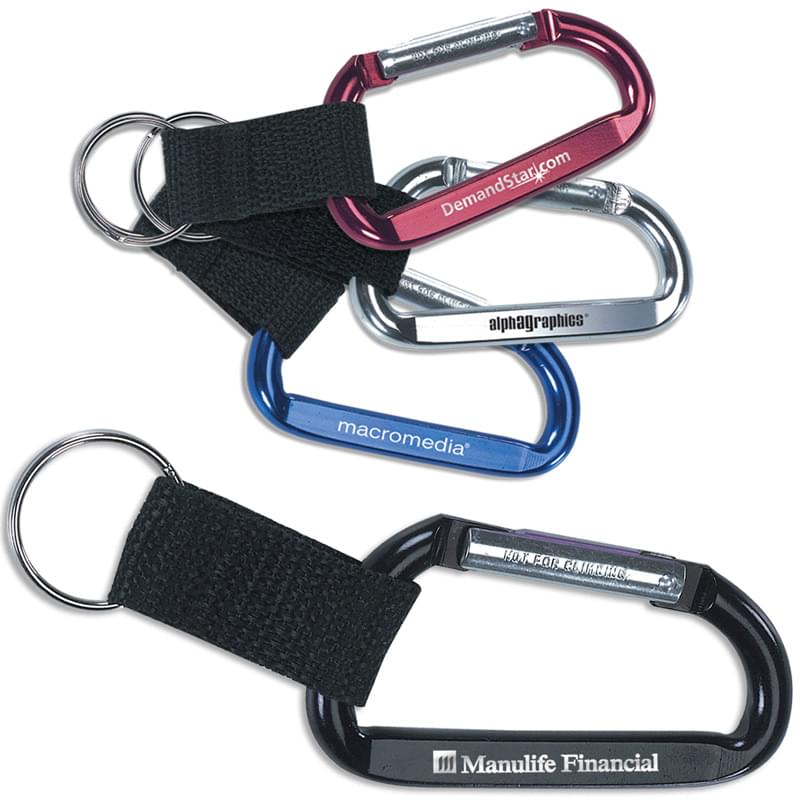 Clip-And-Go Carabiner Key Tag