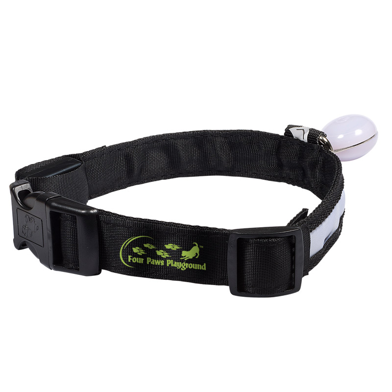 Light-Up Pet Collar