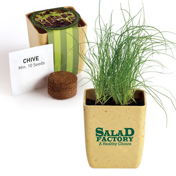 Flower Pot Set with Chive Seeds